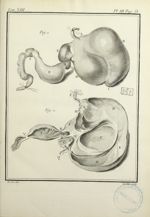 Fig. 1 et 2. [Estomac de l'unau, ouvert] - Histoire naturelle, générale et particulière, avec la des [...]