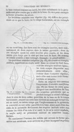 Octaèdre obtus / Octaèdre à base rectangle / Octaèdre à triangles scalènes / Octaèdre cunéiforme - H [...]