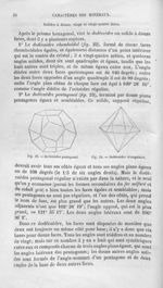 Dodécaèdre pentagonal / Dodécaèdre triangulaire - Histoire naturelle des drogues simples, ou Cours d [...]