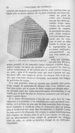 Cube passant au dodécaèdre rhomboïdal - Histoire naturelle des drogues simples, ou Cours d'histoire  [...]