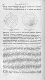 Dodécaèdre rhomboïdal de carbone / Carbone sphéroïdal - Histoire naturelle des drogues simples, ou C [...]