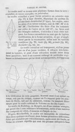 Cristal de soufre en octaèdre aigu / Variété cunéiforme / Variété basée / Variété prismée / Variété  [...]