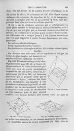 Chaux carbonatée - Histoire naturelle des drogues simples, ou Cours d'histoire naturelle professé à  [...]