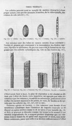 Cellules / Vaisseaux - Histoire naturelle des drogues simples, ou Cours d'histoire naturelle profess [...]