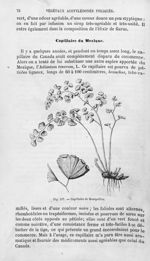 Capillaire de Montpellier - Histoire naturelle des drogues simples, ou Cours d'histoire naturelle pr [...]