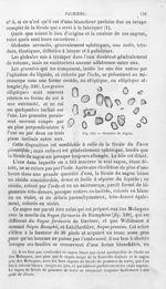 Granules de Sagou - Histoire naturelle des drogues simples, ou Cours d'histoire naturelle professé à [...]