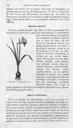 Narcisse des prés - Histoire naturelle des drogues simples, ou Cours d'histoire naturelle professé à [...]