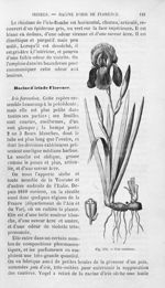 Iris commun - Histoire naturelle des drogues simples, ou Cours d'histoire naturelle professé à l'Éco [...]