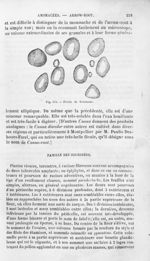 Fécule de Tolomane - Histoire naturelle des drogues simples, ou Cours d'histoire naturelle professé  [...]