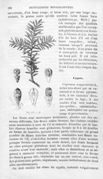 If - Histoire naturelle des drogues simples, ou Cours d'histoire naturelle professé à l'École supéri [...]