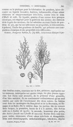 Sabine - Histoire naturelle des drogues simples, ou Cours d'histoire naturelle professé à l'École su [...]