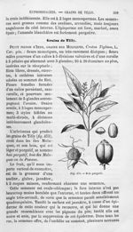 Bois purgatif - Histoire naturelle des drogues simples, ou Cours d'histoire naturelle professé à l'É [...]