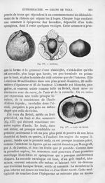 Andassu / Anda du Brésil - Histoire naturelle des drogues simples, ou Cours d'histoire naturelle pro [...]