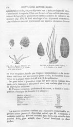 Kamala - Histoire naturelle des drogues simples, ou Cours d'histoire naturelle professé à l'École su [...]