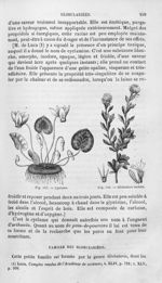 Cyclame / Globulaire turbith - Histoire naturelle des drogues simples, ou Cours d'histoire naturelle [...]