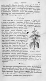 Patchouly - Histoire naturelle des drogues simples, ou Cours d'histoire naturelle professé à l'École [...]