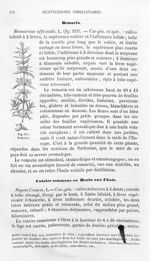 Romarin - Histoire naturelle des drogues simples, ou Cours d'histoire naturelle professé à l'École s [...]