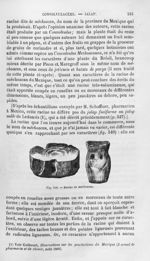 Racine de méchoacan - Histoire naturelle des drogues simples, ou Cours d'histoire naturelle professé [...]