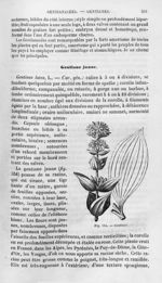 Gentiane - Histoire naturelle des drogues simples, ou Cours d'histoire naturelle professé à l'École  [...]