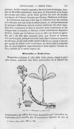 Ményanthe ou trèfle d'eau - Histoire naturelle des drogues simples, ou Cours d'histoire naturelle pr [...]
