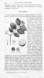 Noix vomique - Histoire naturelle des drogues simples, ou Cours d'histoire naturelle professé à l'Éc [...]