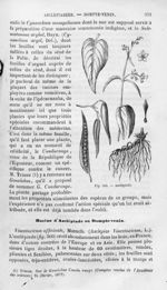 Asclépiade - Histoire naturelle des drogues simples, ou Cours d'histoire naturelle professé à l'Écol [...]