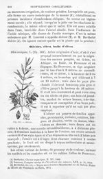 Olivier - Histoire naturelle des drogues simples, ou Cours d'histoire naturelle professé à l'École s [...]