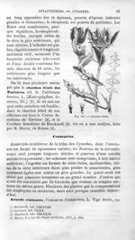 Chardon bénit - Histoire naturelle des drogues simples, ou Cours d'histoire naturelle professé à l'É [...]
