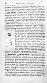 Corolle de bluet - Histoire naturelle des drogues simples, ou Cours d'histoire naturelle professé à  [...]