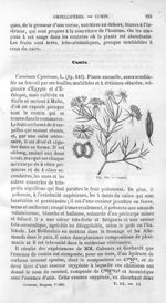 Cumin - Histoire naturelle des drogues simples, ou Cours d'histoire naturelle professé à l'École sup [...]