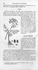 Aneth - Histoire naturelle des drogues simples, ou Cours d'histoire naturelle professé à l'École sup [...]