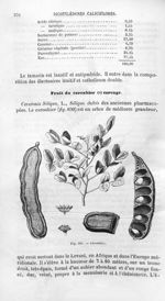 Caroubier - Histoire naturelle des drogues simples, ou Cours d'histoire naturelle professé à l'École [...]