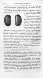 Fève du Calabar - Histoire naturelle des drogues simples, ou Cours d'histoire naturelle professé à l [...]