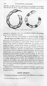 Fruit de l'acacia capensis - Histoire naturelle des drogues simples, ou Cours d'histoire naturelle p [...]