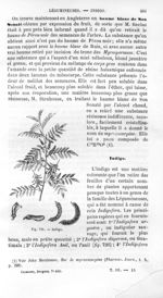 Indigo - Histoire naturelle des drogues simples, ou Cours d'histoire naturelle professé à l'École su [...]