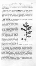 Houx - Histoire naturelle des drogues simples, ou Cours d'histoire naturelle professé à l'École supé [...]