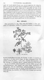 Rue officinale - Histoire naturelle des drogues simples, ou Cours d'histoire naturelle professé à l' [...]