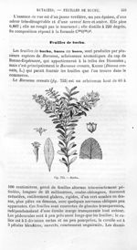 Buchu - Histoire naturelle des drogues simples, ou Cours d'histoire naturelle professé à l'École sup [...]