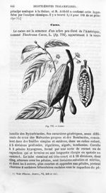 Cacao - Histoire naturelle des drogues simples, ou Cours d'histoire naturelle professé à l'École sup [...]