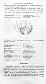 Stellaria - Histoire naturelle des drogues simples, ou Cours d'histoire naturelle professé à l'École [...]