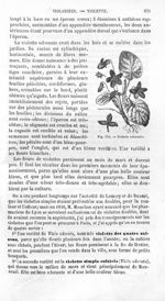 Violette odorante - Histoire naturelle des drogues simples, ou Cours d'histoire naturelle professé à [...]
