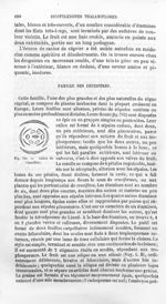 Calice de Crucifère - Histoire naturelle des drogues simples, ou Cours d'histoire naturelle professé [...]