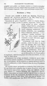 Vélar - Histoire naturelle des drogues simples, ou Cours d'histoire naturelle professé à l'École sup [...]
