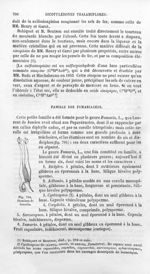 Etamines de fumaria - Histoire naturelle des drogues simples, ou Cours d'histoire naturelle professé [...]