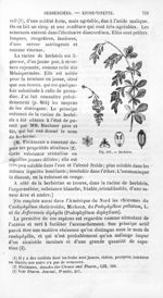 Berbéris - Histoire naturelle des drogues simples, ou Cours d'histoire naturelle professé à l'École  [...]