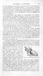 Tête de carnassier (chien) - Histoire naturelle des drogues simples, ou Cours d'histoire naturelle p [...]