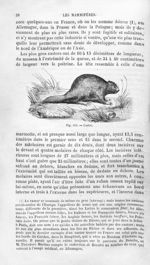 Castor - Histoire naturelle des drogues simples, ou Cours d'histoire naturelle professé à l'École su [...]