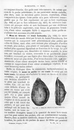Musc de Sibérie ou musc kabardin - Histoire naturelle des drogues simples, ou Cours d'histoire natur [...]