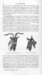 Tête de chèvre (bouc) / Tête de chèvre - Histoire naturelle des drogues simples, ou Cours d'histoire [...]