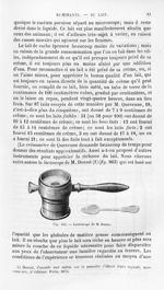 Lactoscope de M. Donne - Histoire naturelle des drogues simples, ou Cours d'histoire naturelle profe [...]